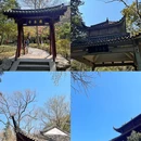 西湖风景名胜区 - 杭州旅游 缩略图 3