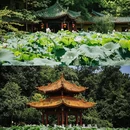 圣水寺 - 绵阳市旅游 缩略图 8