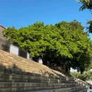 厦门海上世界 - 厦门市旅游 缩略图 5