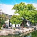 鲁镇 - 绍兴市旅游 缩略图 2
