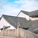 鲁镇 - 绍兴市旅游 缩略图 8