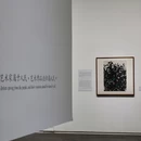 深圳美术馆(新馆) - 深圳市旅游 缩略图 2