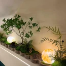 粤金沙广府家宴 - 广州市旅游 缩略图 7