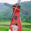 黄山鲁森林公园 - 广州市旅游 缩略图 3