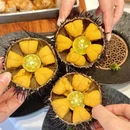大连星海假日酒店 - 大连市旅游 缩略图 3