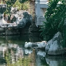 朱家花园 - 红河哈尼族彝族自治州旅游 缩略图 9