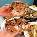 羊庄鱼市·海鲜天津菜(星月轩店) - 天津市旅游 缩略图 2