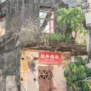 东兴中越人民友谊公园 - 防城港市旅游 缩略图 4