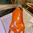 北平食府.臻品私宴·宴会厅 - 北京市旅游 缩略图 1