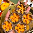 高德置地广场·春广场 - 广州市旅游 缩略图 4