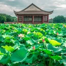 莲湖公园 - 东莞市旅游 缩略图 1