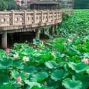 莲湖公园 - 东莞市旅游 缩略图 6