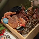 莺时TOKI(平安金融中心店) - 深圳市旅游 缩略图 9