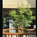 单向空间·潮间带艺术村店 - 盐城旅游 缩略图 1