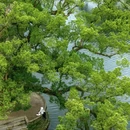 察关村 - 上饶市旅游 缩略图 6