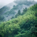 杭州滨江宝龙城 - 杭州市旅游 缩略图 5