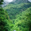 杭州滨江宝龙城 - 杭州市旅游 缩略图 9