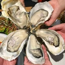 型动者健身(三水新动力广场店) - 佛山市旅游 缩略图 3