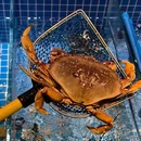 龙湖苏州东吴天街 - 苏州市旅游 缩略图 7