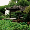 石路步行街 - 苏州市旅游 缩略图 1