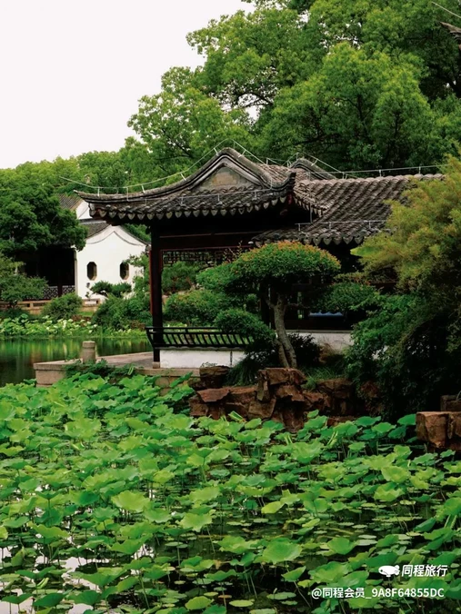 石路步行街 - 苏州市旅游
