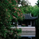 石路步行街 - 苏州市旅游 缩略图 7