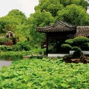 石路步行街 - 苏州市旅游 缩略图 6