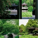 石路步行街 - 苏州市旅游 缩略图 9