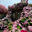 Purcotton(长沙中心印象城店) - 长沙市旅游 缩略图 9