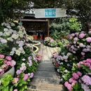 Purcotton(长沙中心印象城店) - 长沙市旅游 缩略图 7