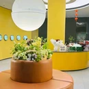 沃尔玛购物广场(武汉黄陂广场分店) - 武汉市旅游 缩略图 1