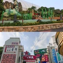 香港海洋公园 - 香港特别行政区旅游 缩略图 4