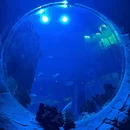 香港海洋公园 - 香港特别行政区旅游 缩略图 9