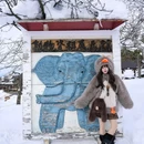 北海道 - 日本旅游 缩略图 3
