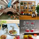 乌镇古镇旅游区 - 嘉兴市旅游 缩略图 7