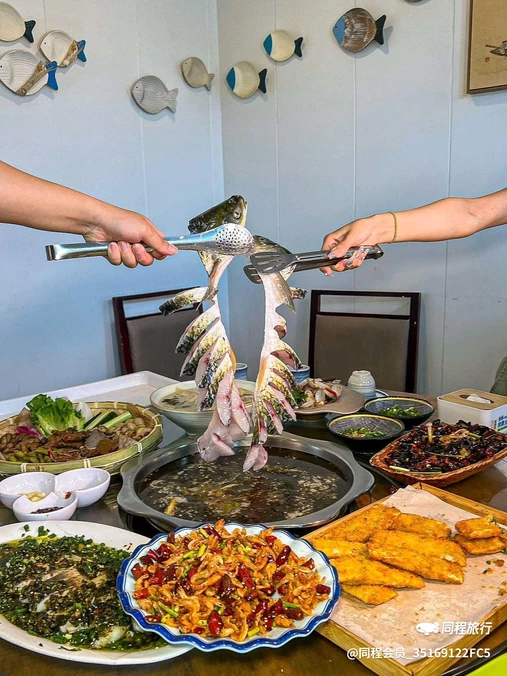金佛山冷水鱼(铜元道店) - 重庆市旅游