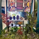 临春河路二巷 - 三亚市旅游 缩略图 1