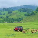 那拉提草原 - 伊犁哈萨克自治州旅游 缩略图 8