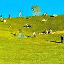 云想山风景区 - 大理白族自治州旅游 缩略图 8