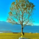 云想山风景区 - 大理白族自治州旅游 缩略图 7