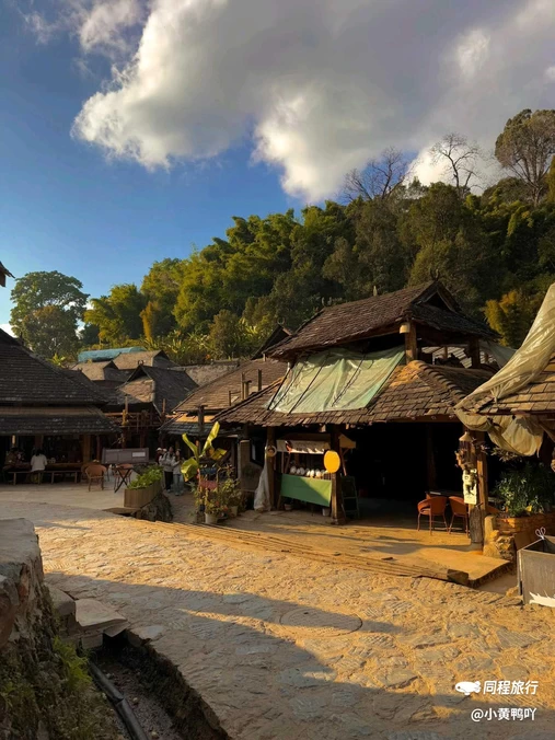 景迈山茶林文化景区 - 普洱市旅游