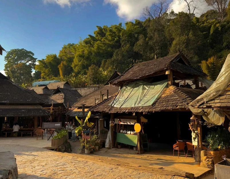 景迈山茶林文化景区 - 普洱市旅游 1