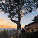 景迈山茶林文化景区 - 普洱市旅游 缩略图 2