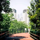 平顶山文化公园-东门 - 重庆市旅游 缩略图 8