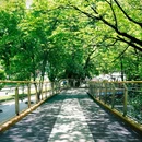 平顶山文化公园-东门 - 重庆市旅游 缩略图 7