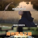 扬州旅游 缩略图 3