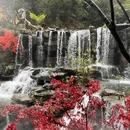 古龙峡原生态旅游区 - 清远市旅游 缩略图 5