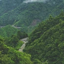杭州西湖 - 杭州市旅游 缩略图 2