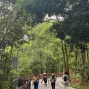 蠄蜍石 - 深圳市旅游 缩略图 5