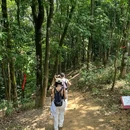 蠄蜍石 - 深圳市旅游 缩略图 6